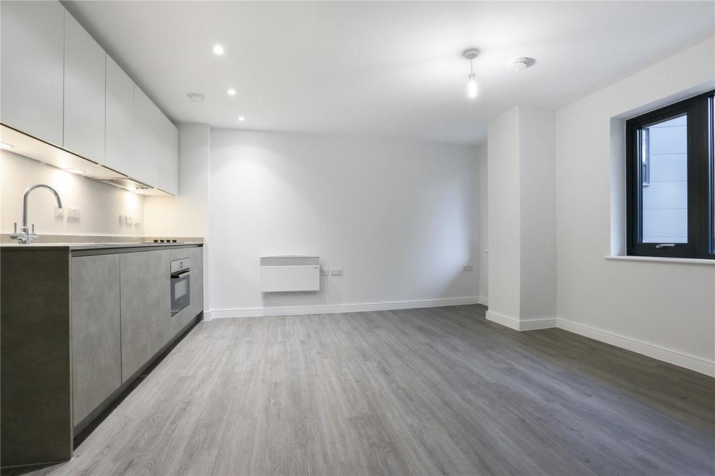 Kitchen/Living Area