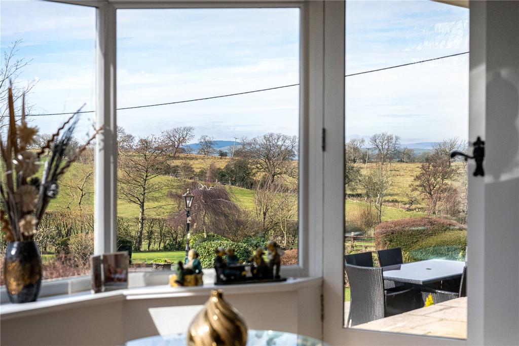 Bay Window