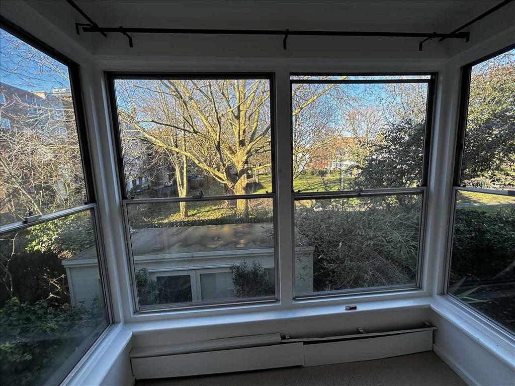 View from