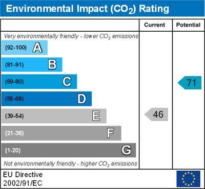 Environmental Impact