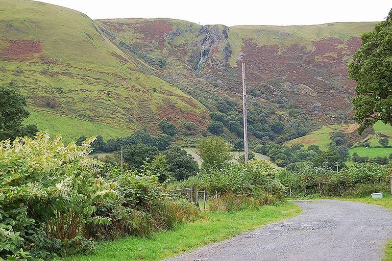 The Lane