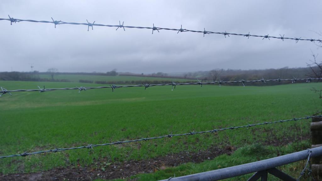 Land ajoining johnston 2.JPG