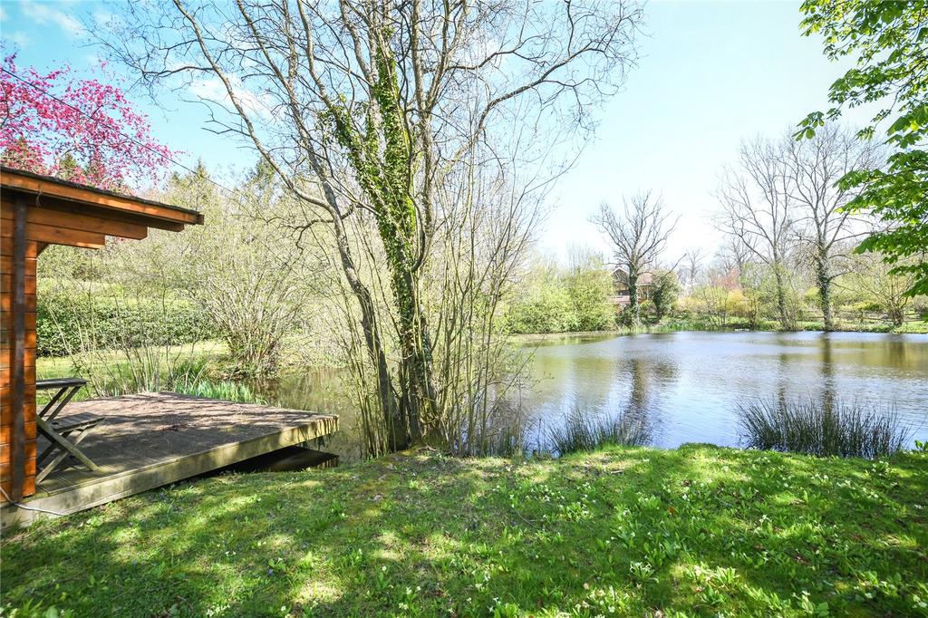 View To Pond
