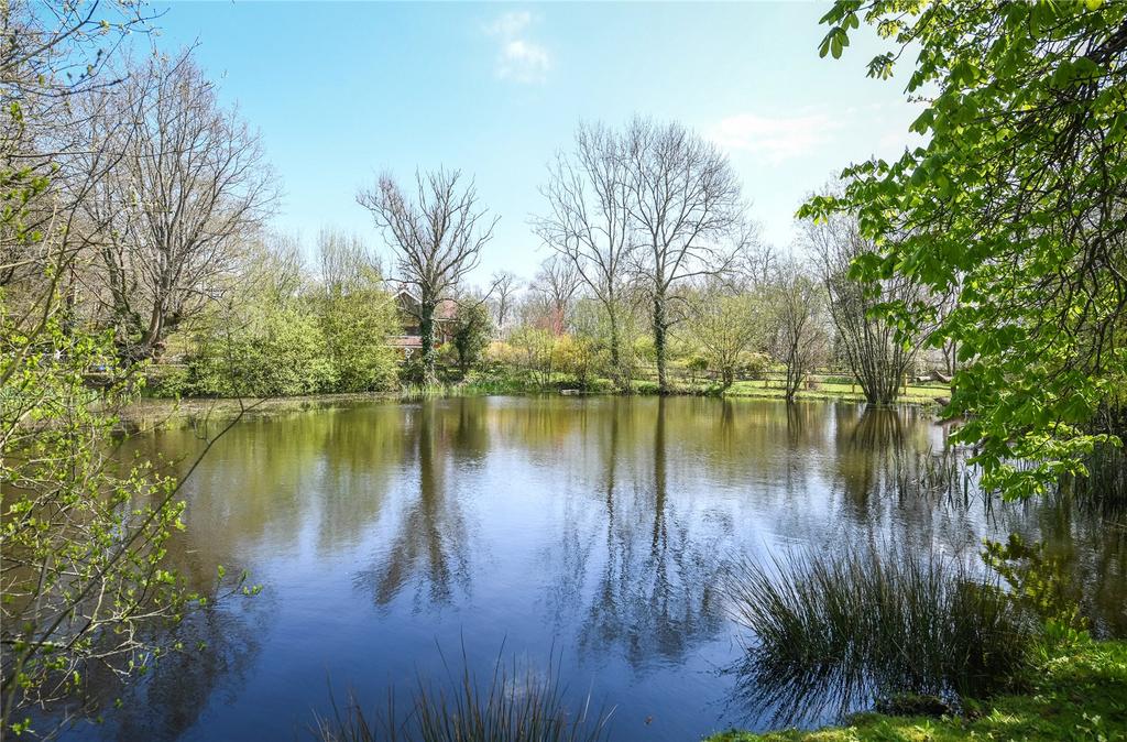 View Over Pond