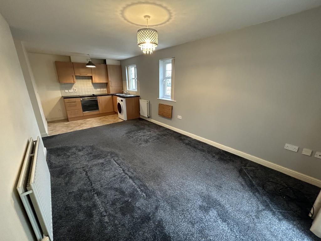 Open plan living area and kitchen