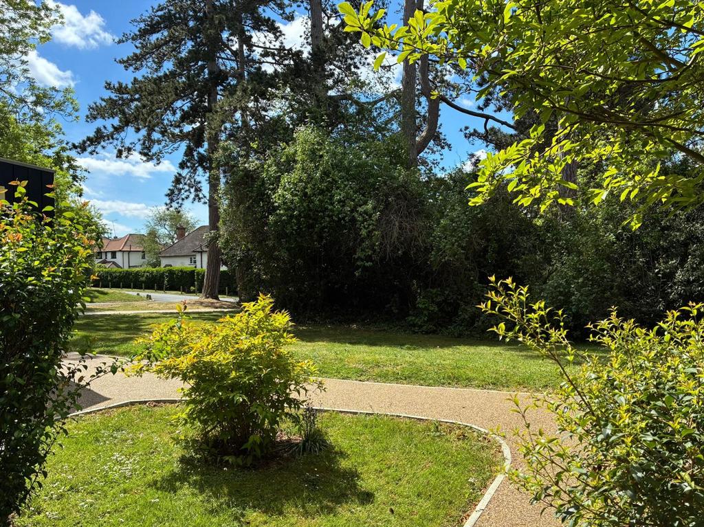 Garden view, garden