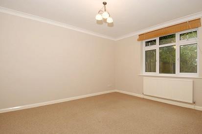 Bright Living Room
