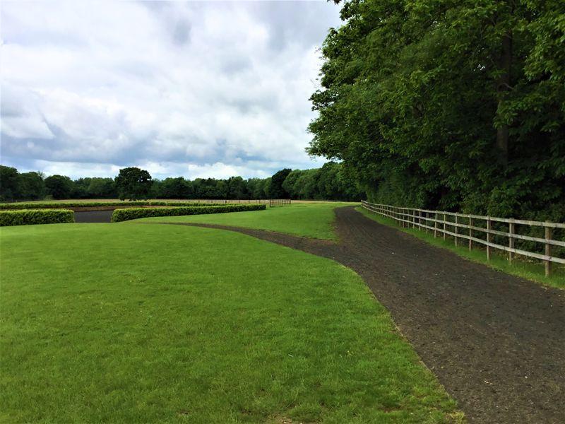 Canter Track