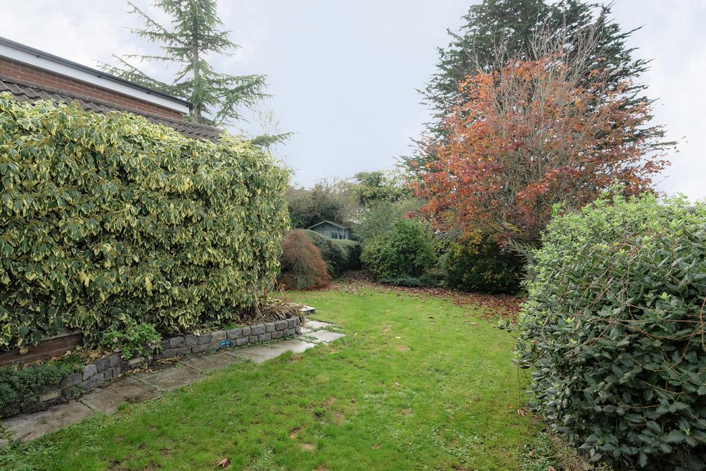 Garden ()