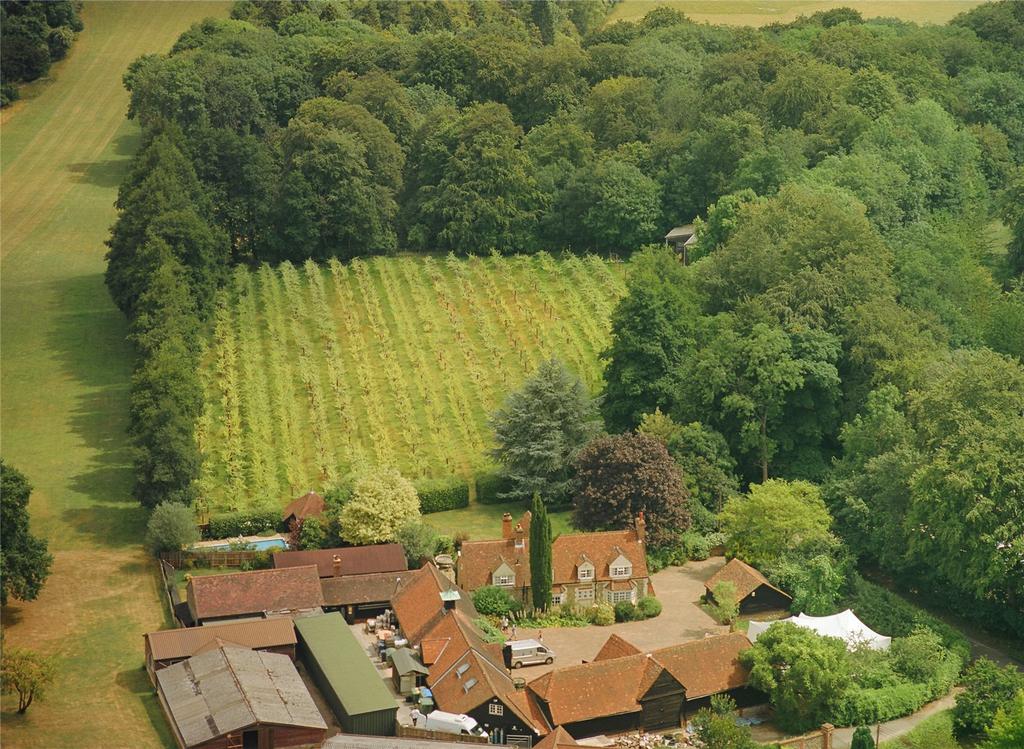 Arial View