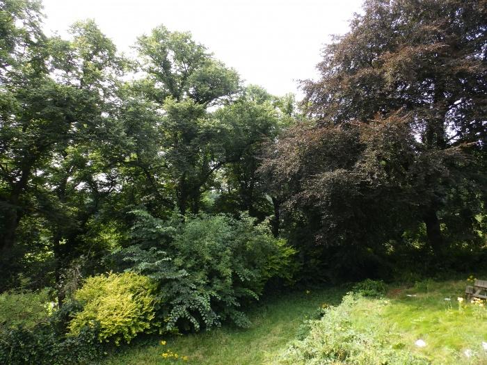 3 Ribblesdale Place Apt 4