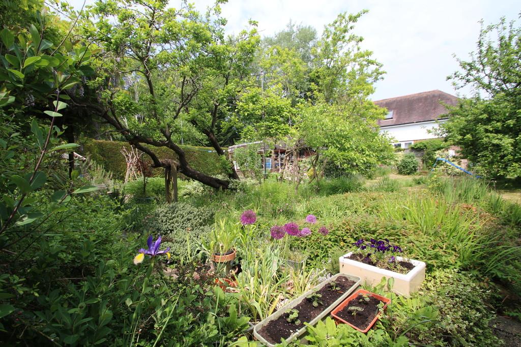 16 absolutely beautiful character properties for sale at under £400,000