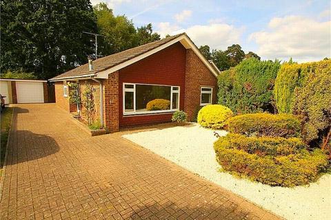 3 bedroom detached bungalow to rent, Alphington Avenue, Frimley GU16