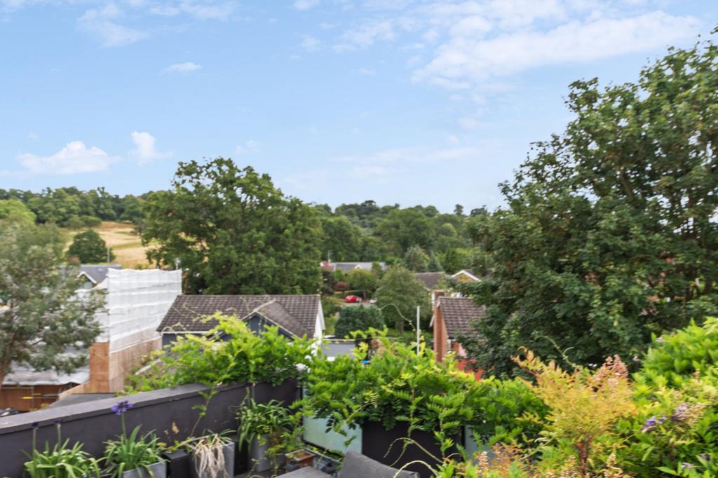 Roof Terrace View