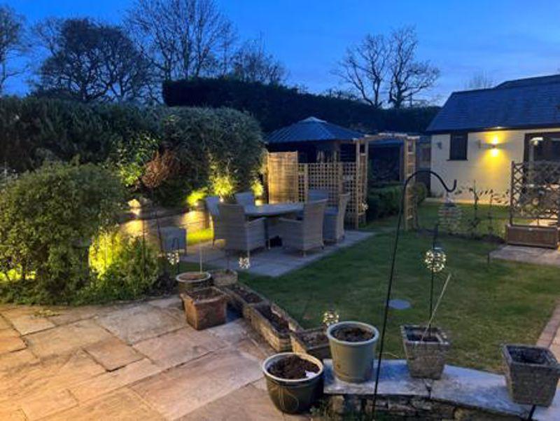 Garden at night