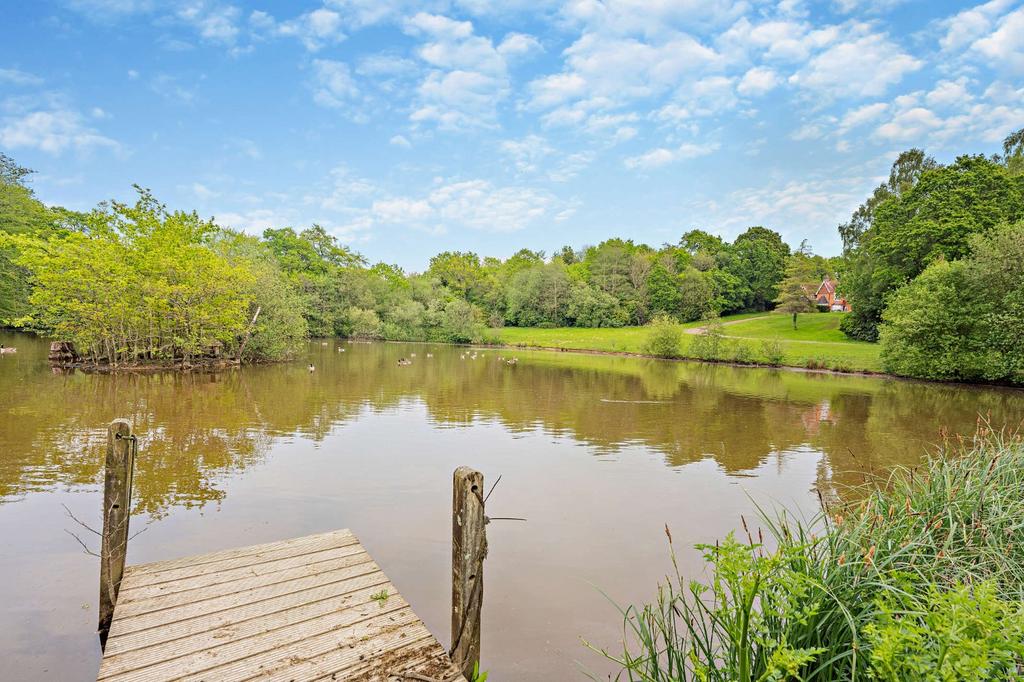 The Lake