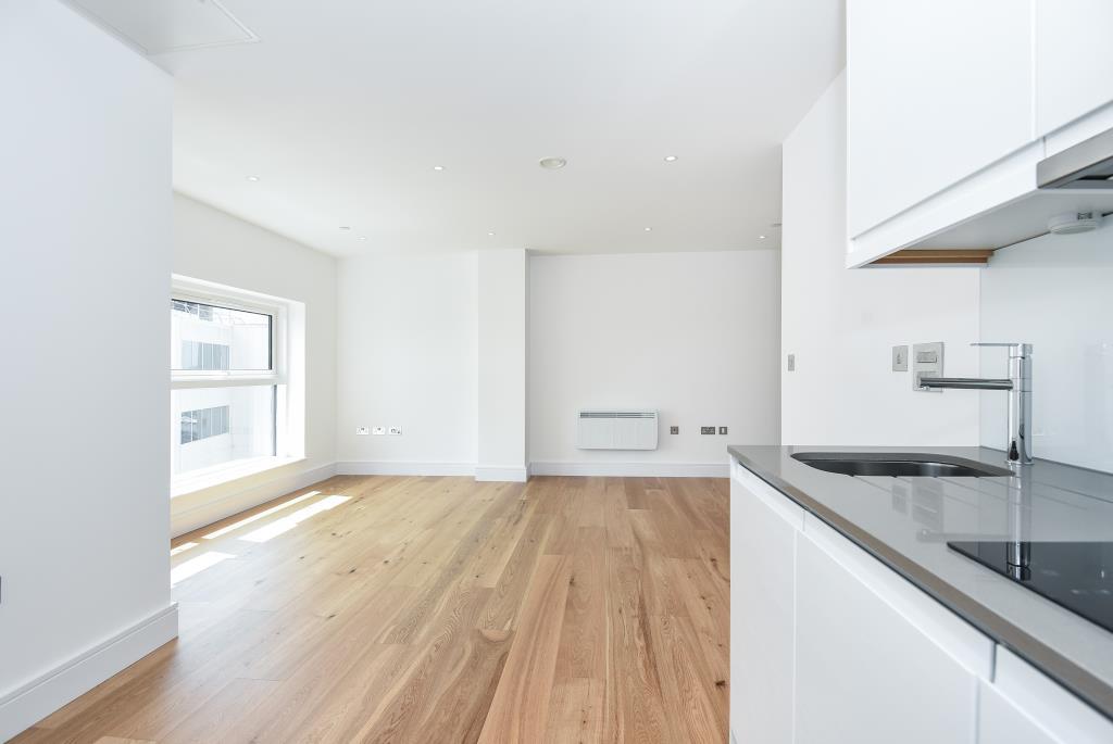 Kitchen / Living Area