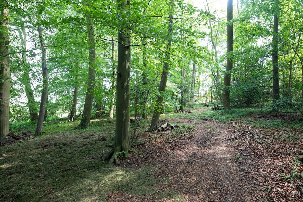 Woodland