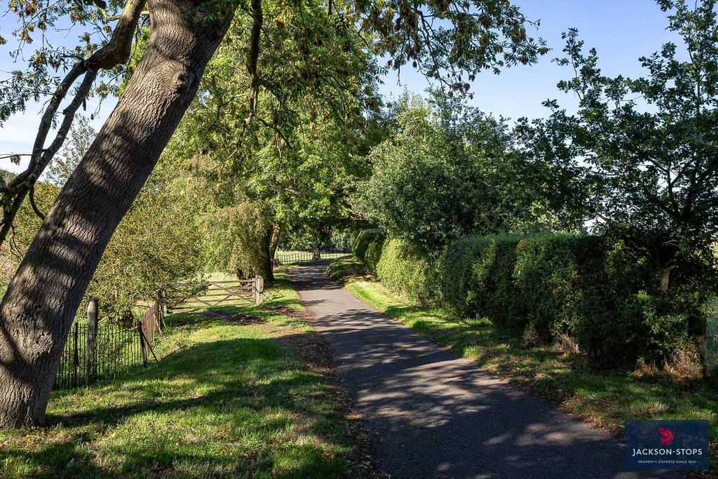 Driveway