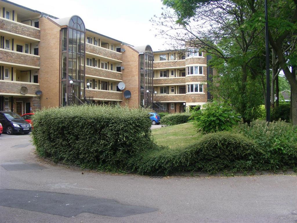 Main Picture