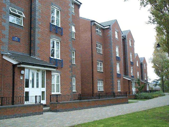 Picture No. 10