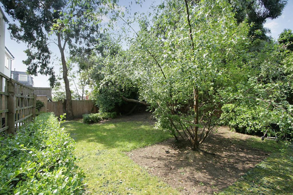 Communal garden &amp; Terrace