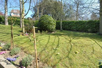 Communal Garden