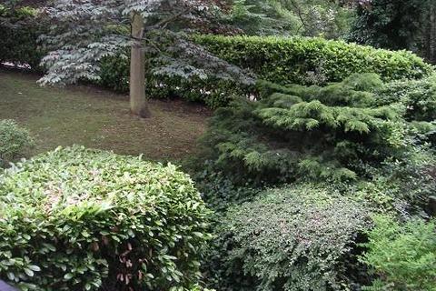 2 bedroom apartment to rent, Richmond Hill,  Surrey,  TW10