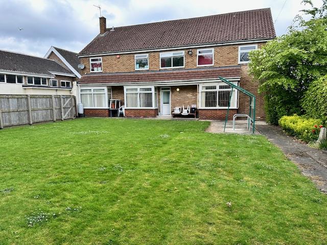 Back Garden