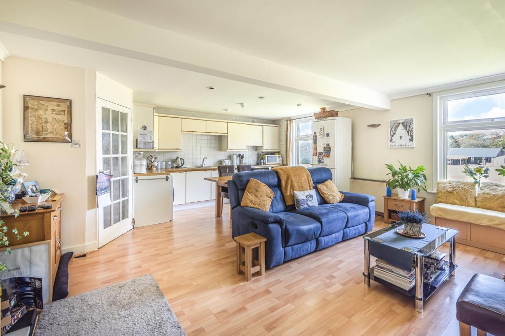 Reception room/kitchen