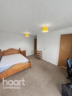 undefined, Little Meadow, Cambridge