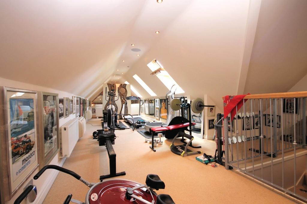 Gym/Cinema
