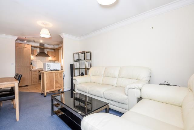 Kitchen/Living Area