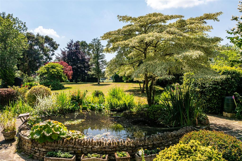 Terrace/Pond