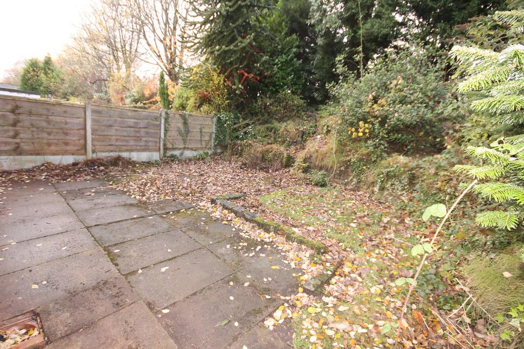 Back Garden