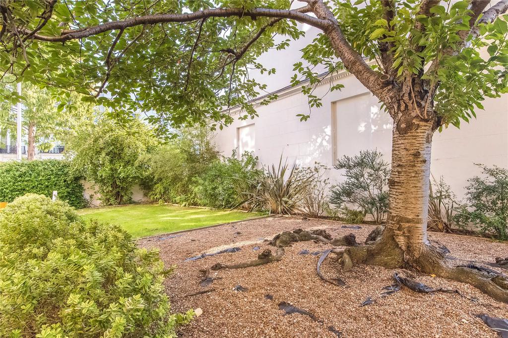 Shared Gardens
