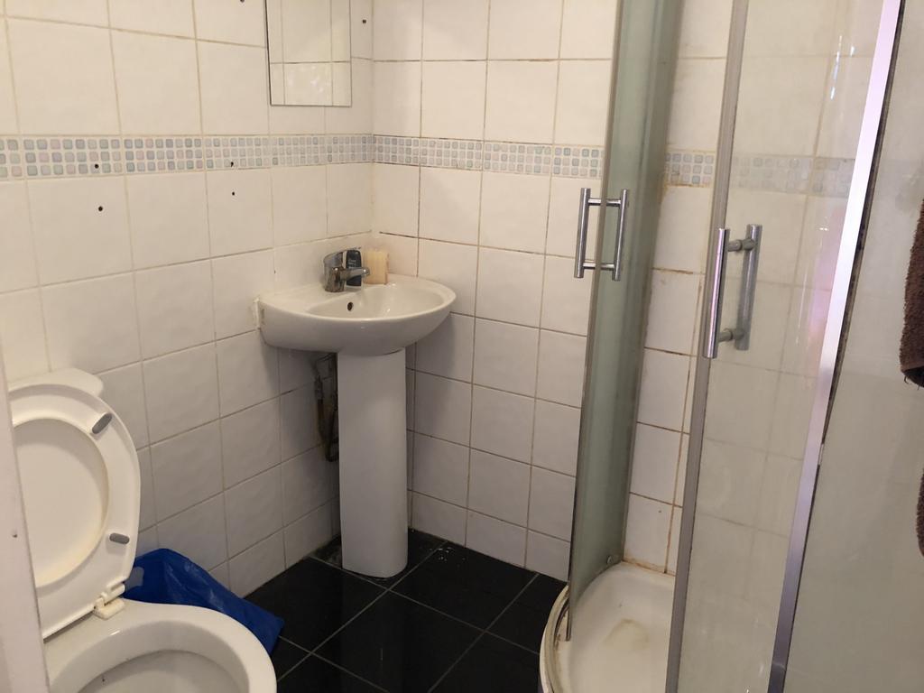 Loft ensuite toilet and shower