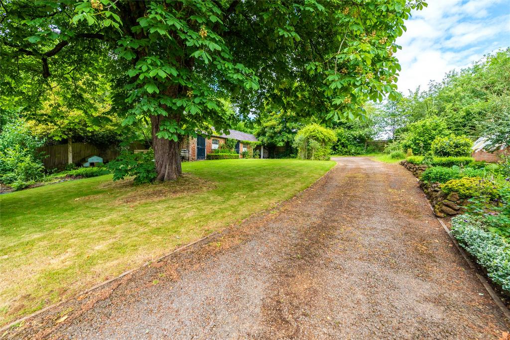 Driveway and Garden