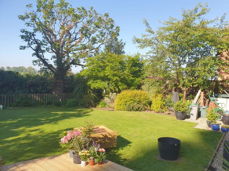 South facing garden