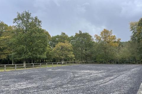 Equestrian property to rent - Tickners Heath, Cranleigh