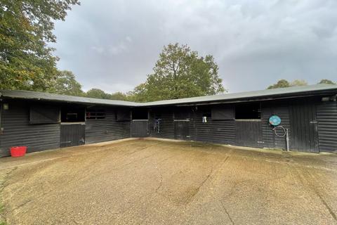 Equestrian property to rent, Tickners Heath, Cranleigh