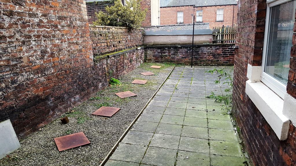 Rear Yard