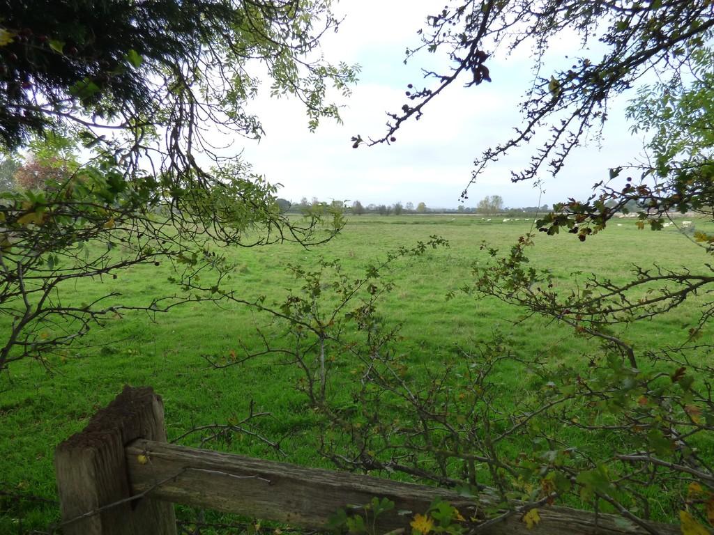 Mill End Lane, Alrewas Land £235,000