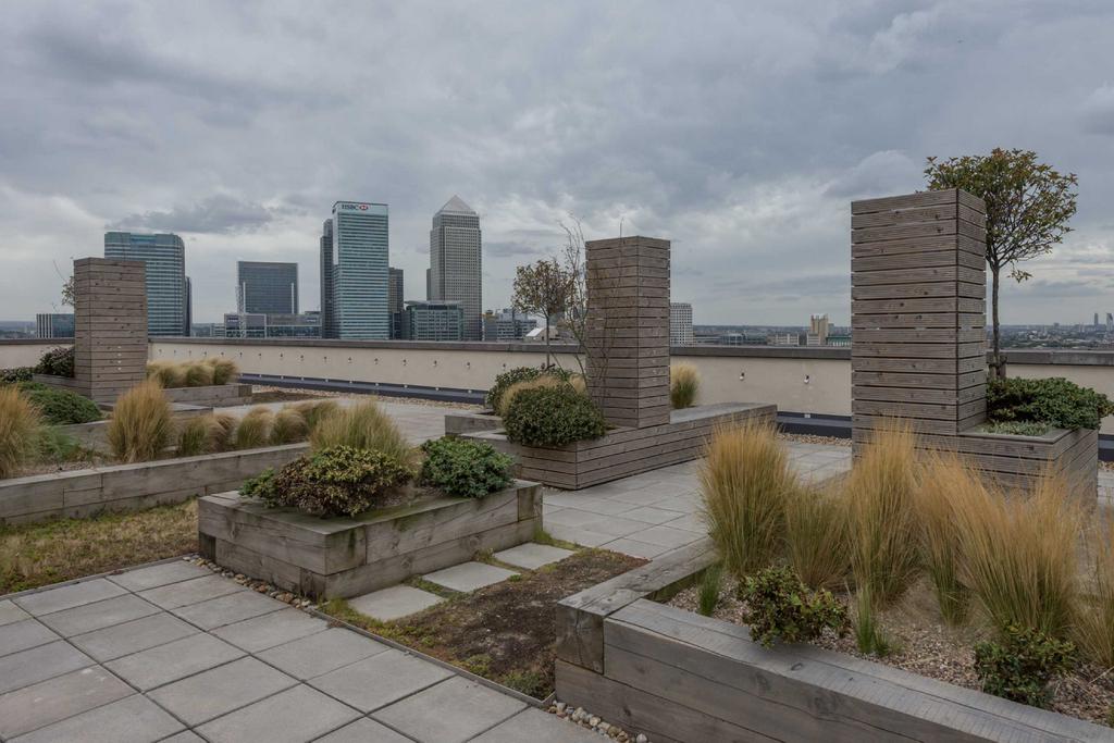 Roof Terrace