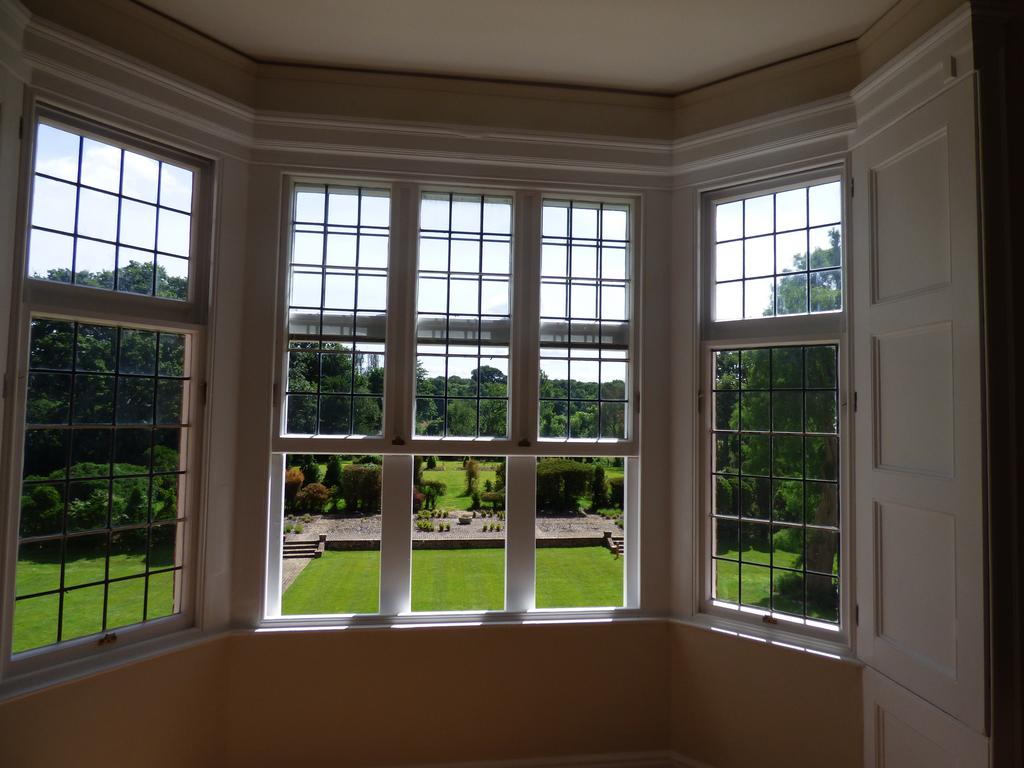 View from Living Room