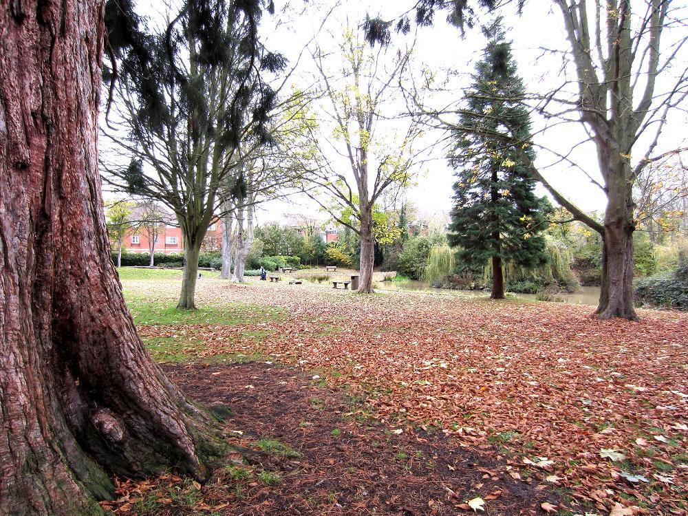 Abbey Gardens