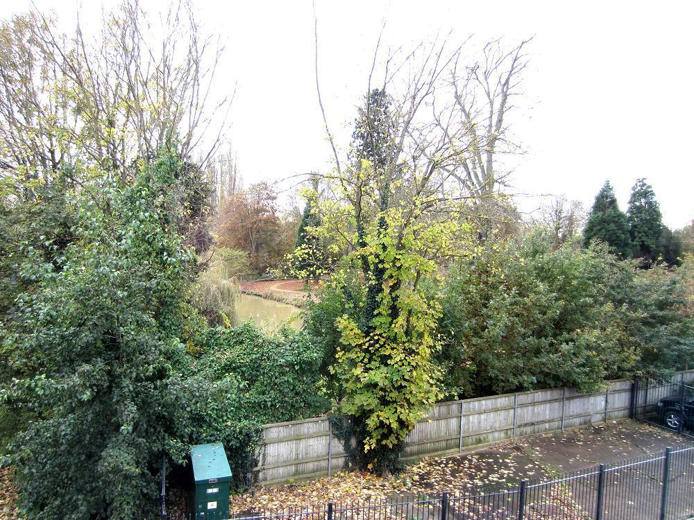 View from Balcony