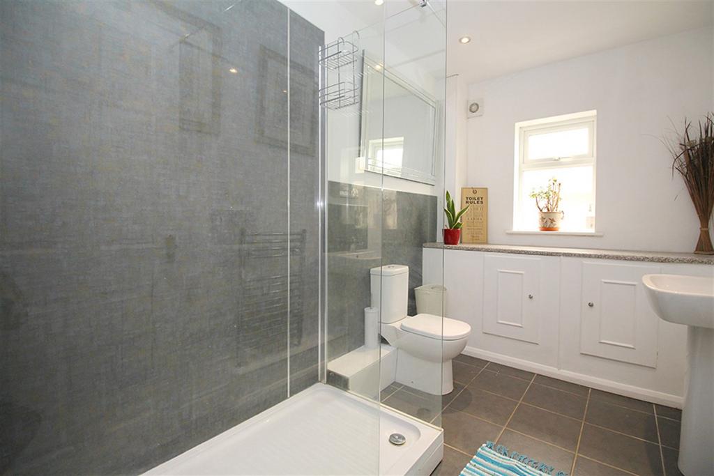 Downstairs Shower Ro