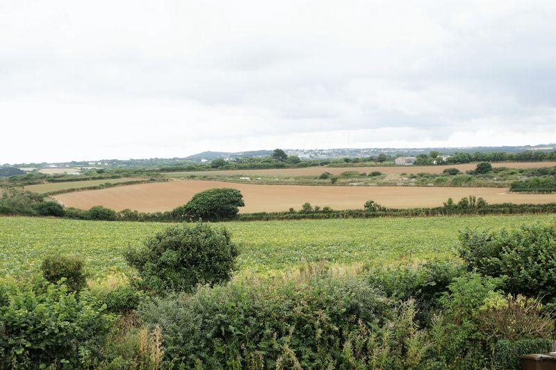 View from bedroom