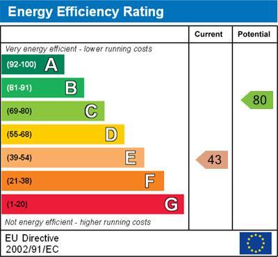 Energy Efficiency